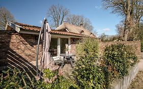 Overnachting Vanjewelste - Rustig Tiny House in het groen